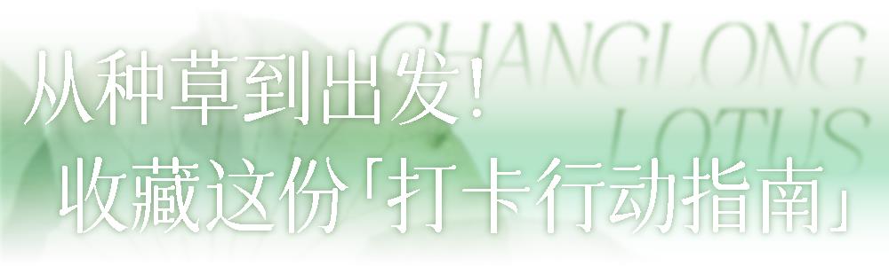 DƬ